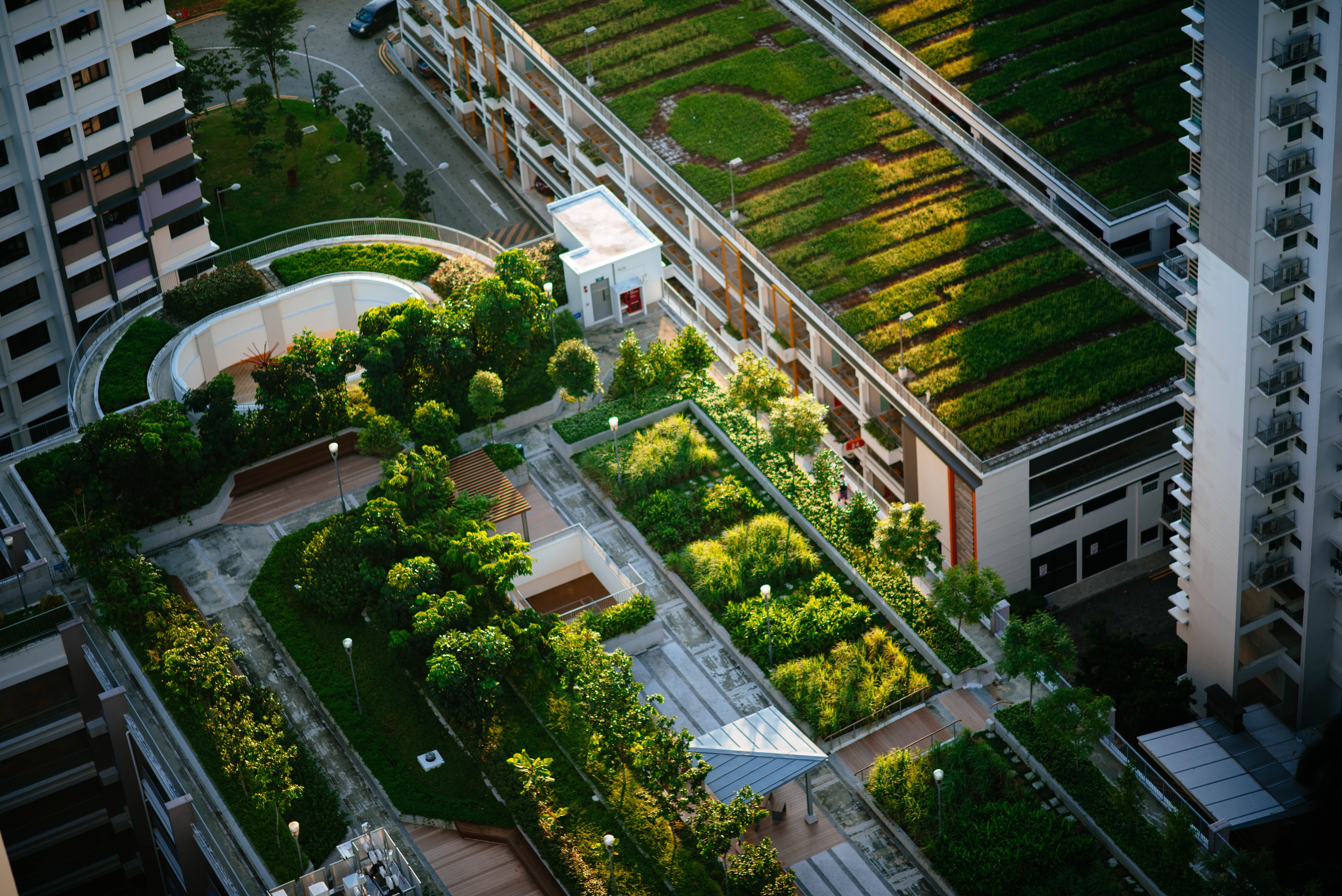 urban policy urban policy