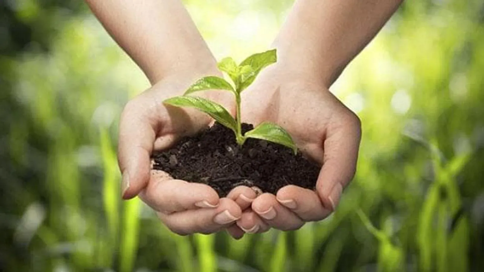 Giornata mondiale dell'ambiente